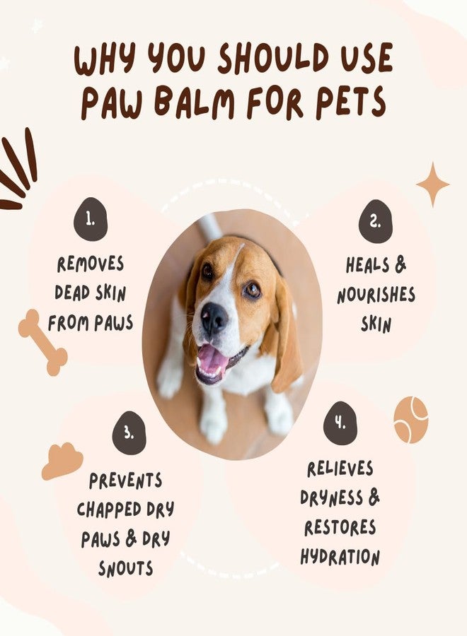 Coco Crush Paw Balm for Pets - Natural Care for Cracked and Dry Paws and Snout | 100% Natural and Organic Ingredients, Ingestion Safe | for Dogs, Cats, Puppies, Kittens | Heals & Repairs Gently (25G) - Image 2